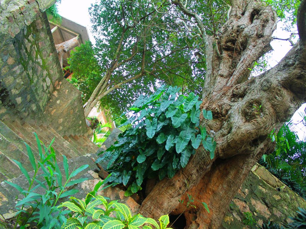 Hotel Mount View Polonnaruwa Zewnętrze zdjęcie