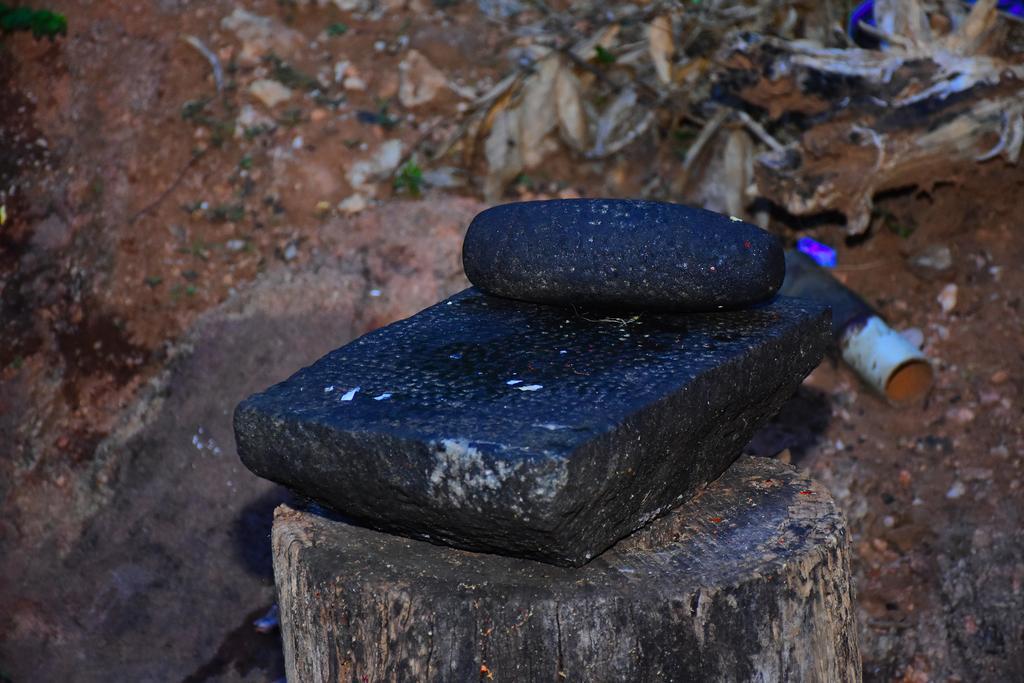 Hotel Mount View Polonnaruwa Zewnętrze zdjęcie